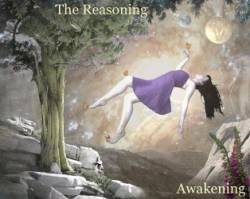 The Reasoning : Awakening